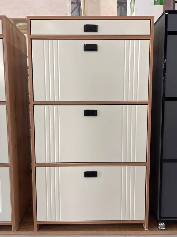 Premium Poyafzal Shkafi | 3 Qavatli Shoe Cabinet